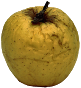 pomme 40 liste